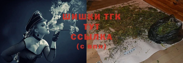 шишки Аркадак