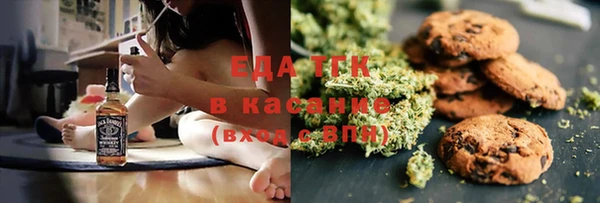 шишки Аркадак