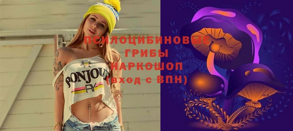 шишки Аркадак