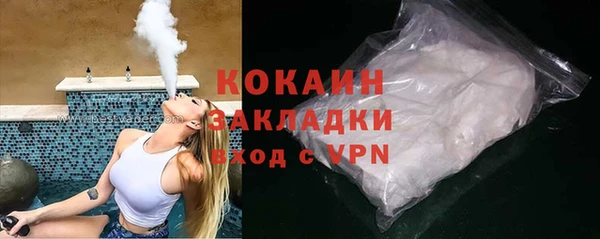 шишки Аркадак