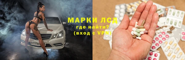шишки Аркадак