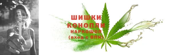 шишки Аркадак