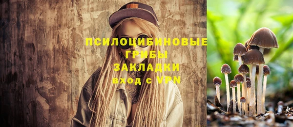 шишки Аркадак