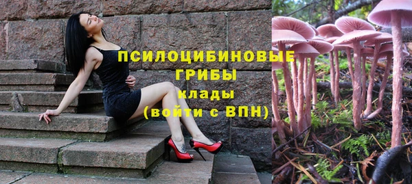 соль курить ск Арсеньев