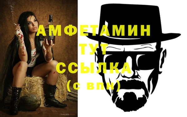 шишки Аркадак