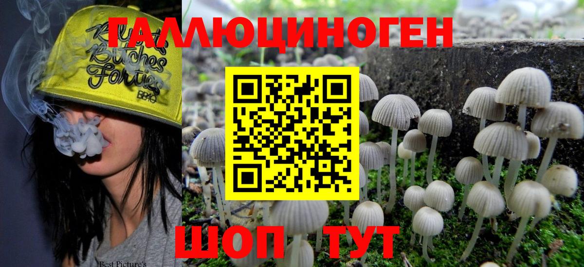 Псилоцибиновые грибы мухоморы Кирово-Чепецк